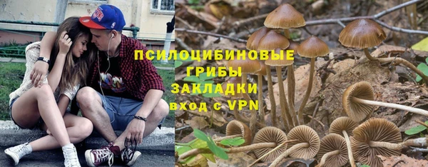spice Армянск