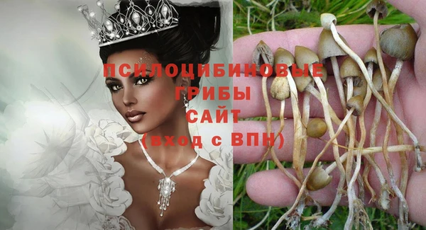 spice Армянск