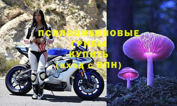МДПВ Арсеньев